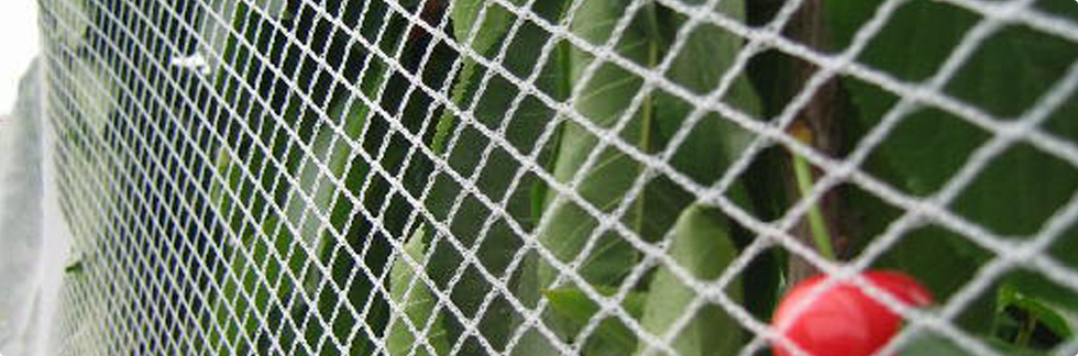 Orchard Nets  Farm Solutions