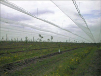Netting structure birdnetting nets bird protection